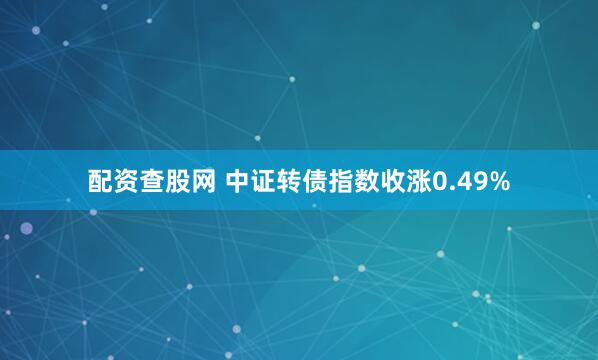 配资查股网 中证转债指数收涨0.49%